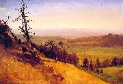 Albert Bierstadt Newbraska Wasatch Mountains France oil painting reproduction